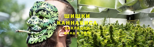 дживик Богородицк