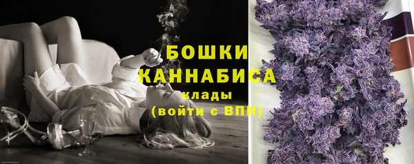 СК Белокуриха