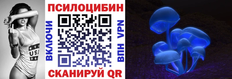 купить закладку Великий Устюг Псилоцибиновые грибы GOLDEN TEACHER